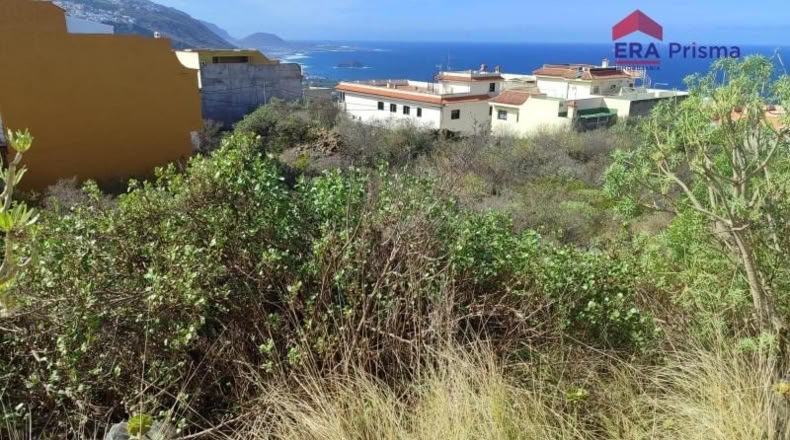 Santa Cruz de Tenerife - Icod de los Vinos - 1280m2