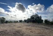 Land suitable for development for sale on España, Alcolea, ref: TR409679 photo