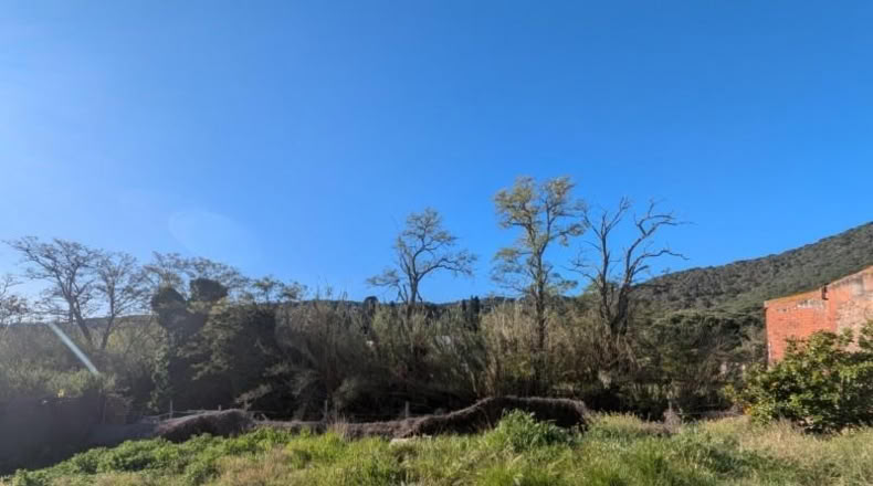 Girona - Sant Feliu de Guíxols - 426m2