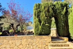 Palma de Gandia 936&nbsp;m² 