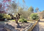 Chalet independiente con terreno en venta en la España, Palma de Gandía, ref: TR401430 foto
