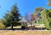Chalet independiente con terreno en venta en la España, Palma de Gandía, ref: TR401430 foto