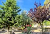 Chalet independiente con terreno en venta en la España, Palma de Gandía, ref: TR401430 foto