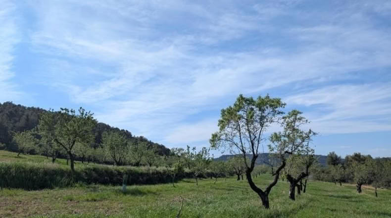 Teruel - Fuentespalda - 527000m2