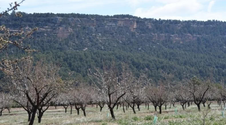 Teruel - Fuentespalda - 527000m2