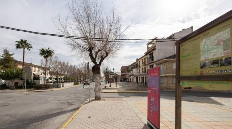 Granada - Fuente Vaqueros - 773m2