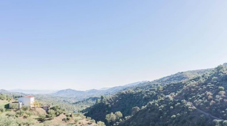 Malaga - Tolox - 498m2