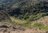 Casa de camp amb terreny en venda a la España, Tolox, ref.: TR365431 foto
