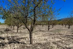 Villena 147651&nbsp;m² 