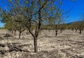 Terreny no urbanitzable en venda a la España, Villena, ref.: TR360841 foto