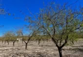 Terreny no urbanitzable en venda a la España, Villena, ref.: TR360841 foto