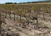 Terreny no urbanitzable en venda a la España, Villena, ref.: TR360841 foto