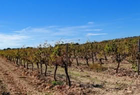 Villena 147651&nbsp;m² 