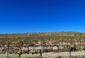 Villena 147651&nbsp;m² 