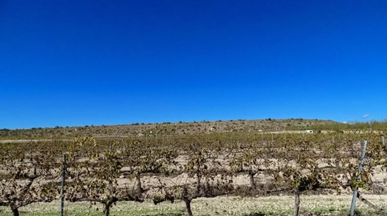 Valencia - Fuente la Higuera - 147651m2