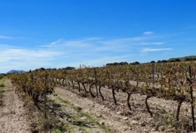 Villena 147651&nbsp;m² 