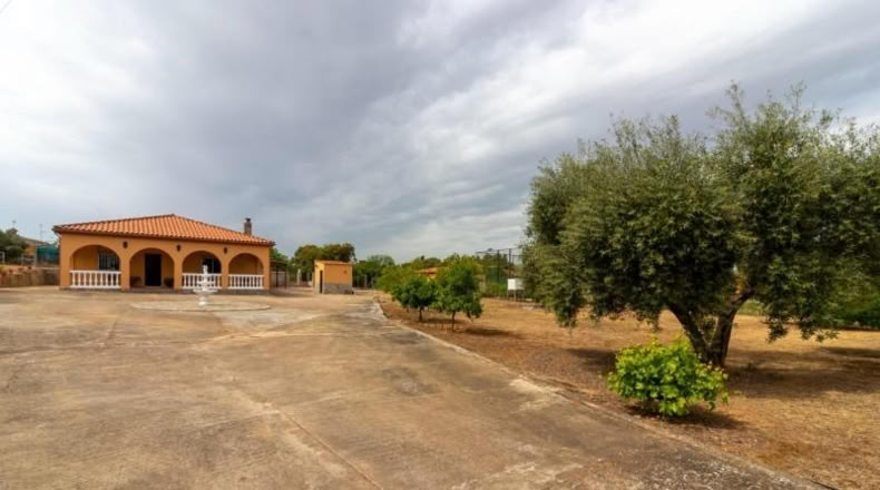 Badajoz - Badajoz - 5000m2