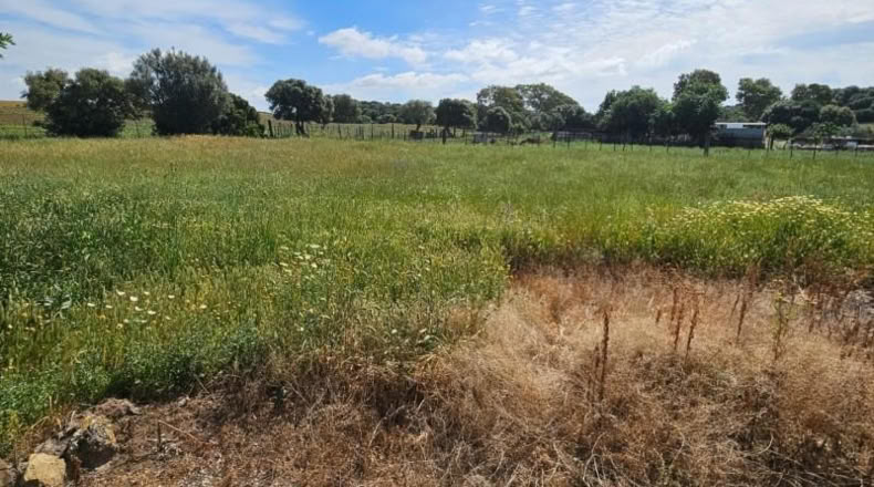 Cádiz - Vejer de la Frontera - 120m2