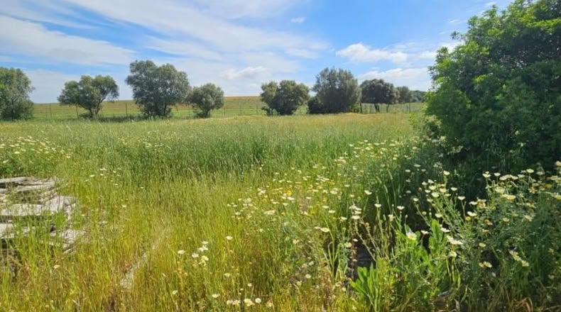 Cádiz - Vejer de la Frontera - 120m2