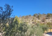 Xalet independent amb terreny en venda a la España, la Vila Joiosa, ref.: TR409727 foto