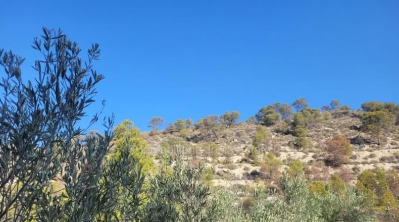 Аликанте - Villajoyosa - 2853m2