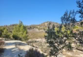 Xalet independent amb terreny en venda a la España, la Vila Joiosa, ref.: TR409727 foto