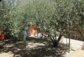 Águilas 1745&nbsp;m²