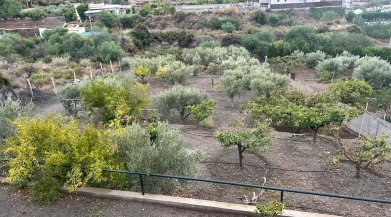 Murcia - Águilas - 1745m2