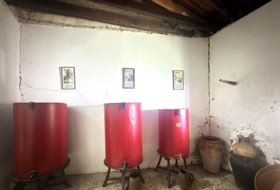Foto 19