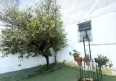 Xalet independent amb terreny en venda a la España, Bujalance, ref.: TR409740 foto