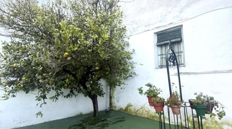 Кордова - Bujalance - 656m2