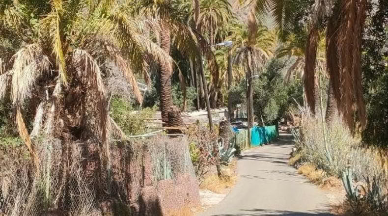 Las Palmas - Santa Lucía de Tirajana - 410m2