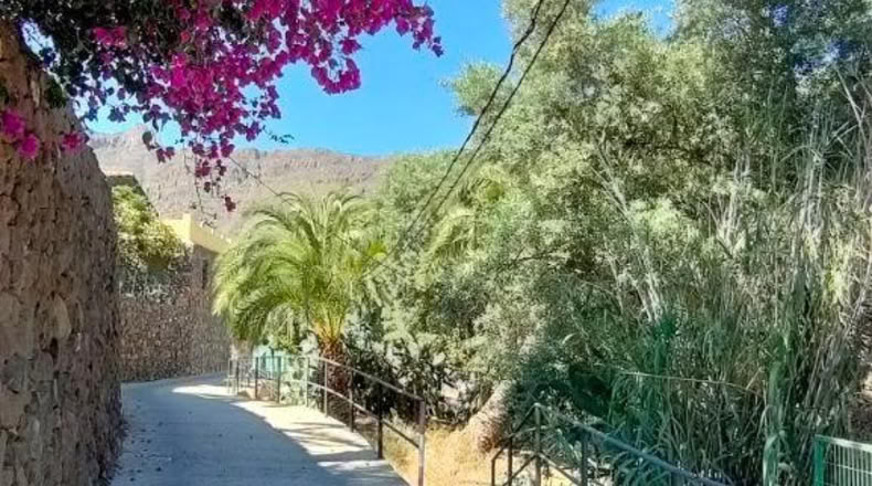 Las Palmas - Santa Lucía de Tirajana - 410m2