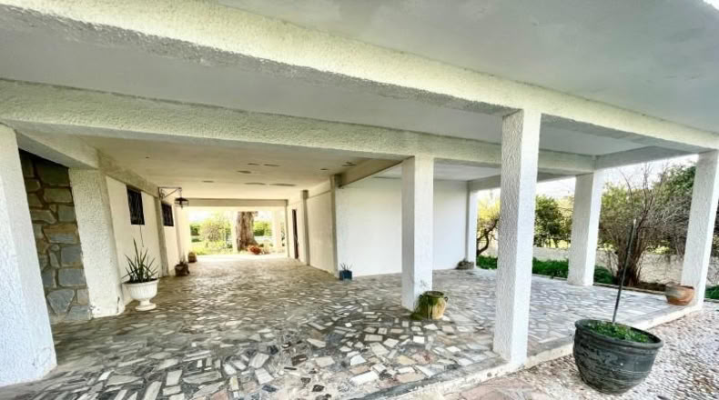 Alicante - Orihuela - 3283m2