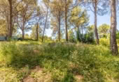 Xalet independent amb terreny en venda a la España, Alberic, ref.: TR409752 foto
