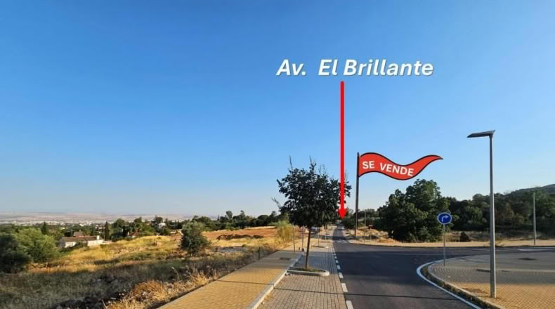 Córdoba - Córdoba - 1468m2