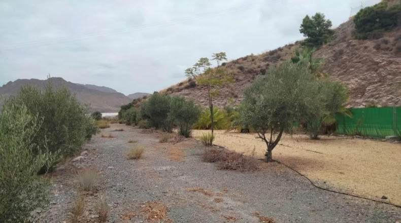Múrcia - Águilas - 18000m2