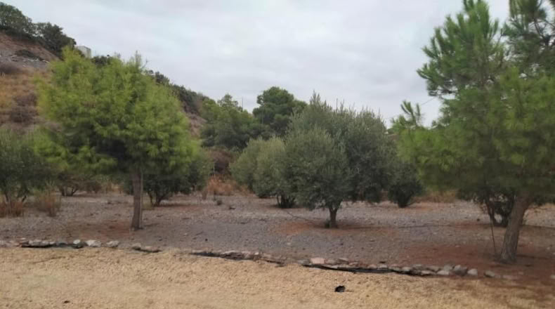 Múrcia - Águilas - 18000m2