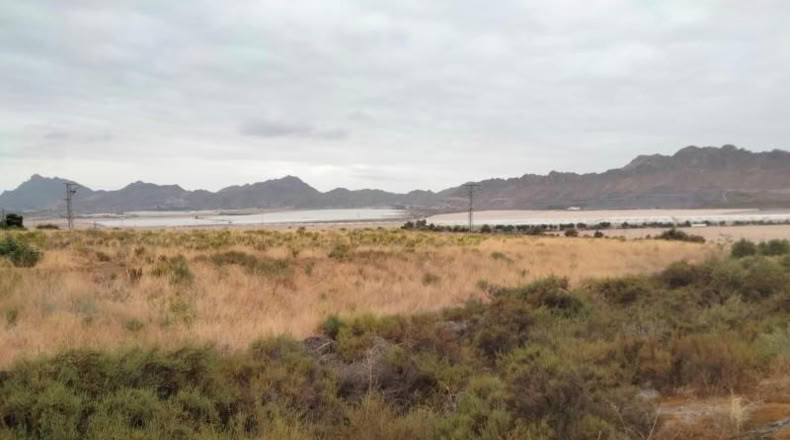 Múrcia - Águilas - 18000m2