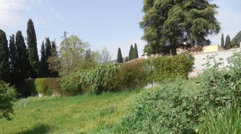 Granada - Albolote - 1500m2