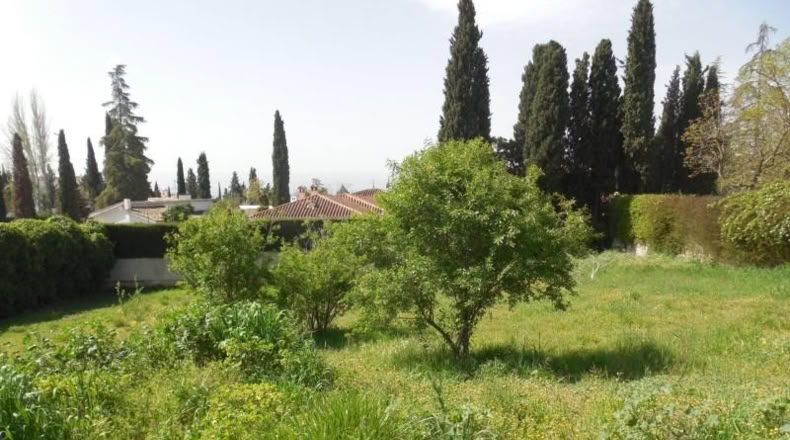 Granada - Albolote - 1500m2