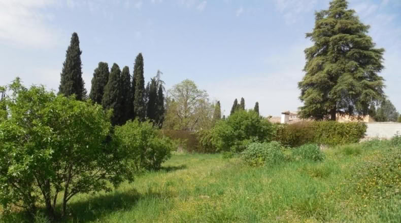 Granada - Albolote - 1500m2