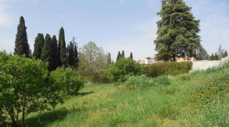 Granada - Albolote - 1500m2