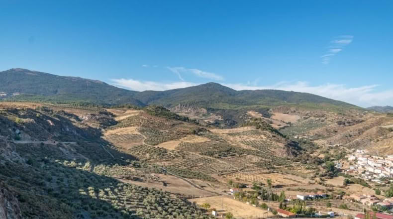 Granada - Graena - 130m2