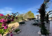 Chalet independiente con terreno en venta en la España, Fuente Álamo, ref: TR349728 foto