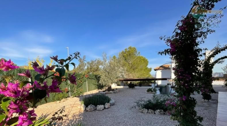 Múrcia - Fuente Álamo de Murcia - 531m2