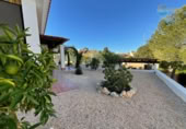 Chalet independiente con terreno en venta en la España, Fuente Álamo, ref: TR349728 foto