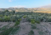 Country house with land for sale on España, Albuñuelas, ref: TR409831 photo