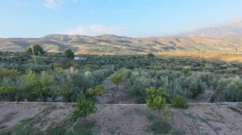 Granada - Albuñuelas - 4104m2