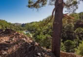 Land suitable for development for sale on España, Benahavís, ref: TR129680 photo